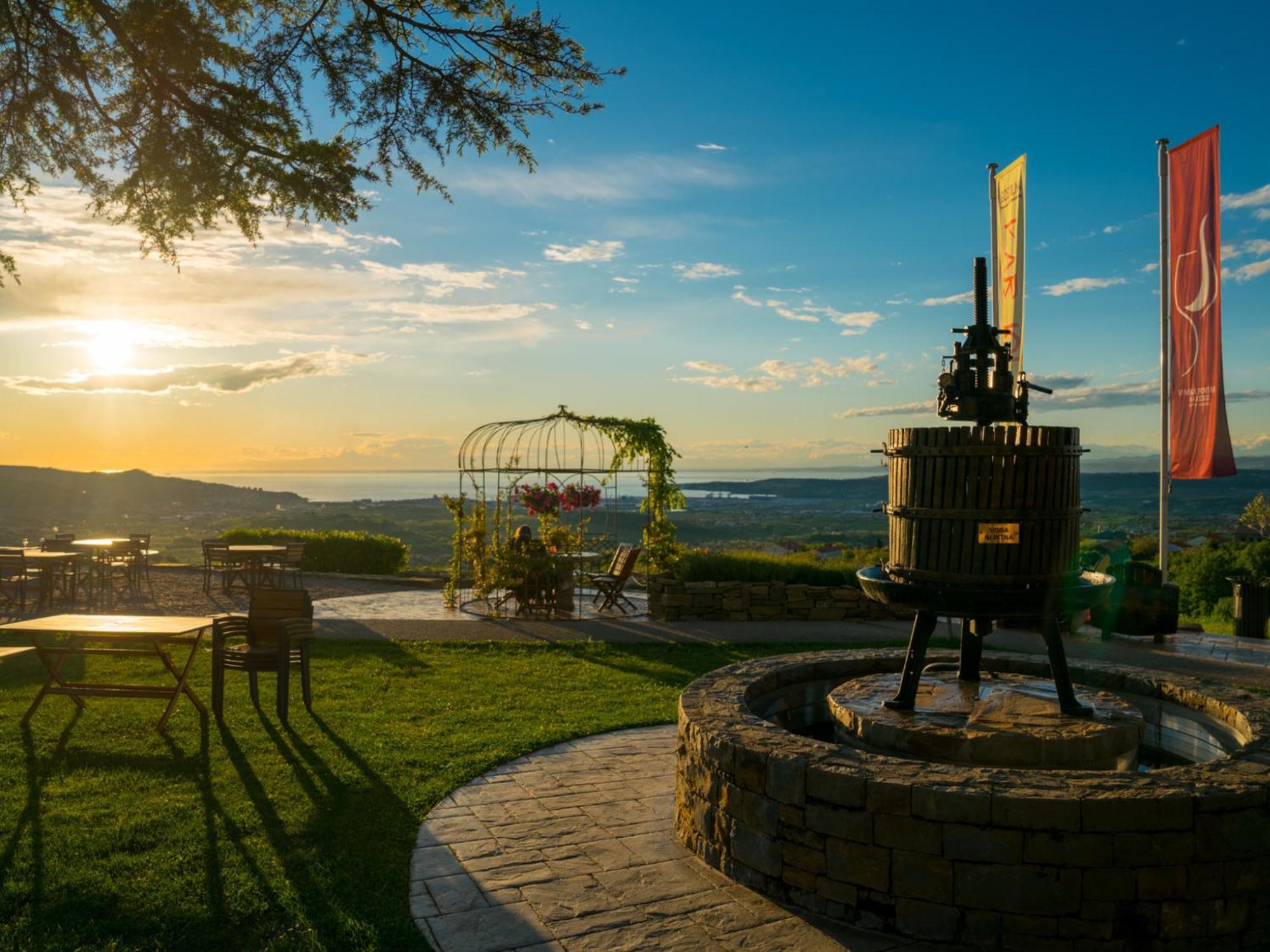 Wine Paradise - Glamping Resort Marezige Luaran gambar